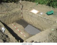 Cronica Cercetărilor Arheologice din România, Campania 2010. Raportul nr. 61