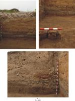 Cronica Cercetărilor Arheologice din România, Campania 2010. Raportul nr. 63