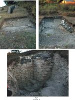 Cronica Cercetărilor Arheologice din România, Campania 2010. Raportul nr. 63