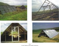 Cronica Cercetărilor Arheologice din România, Campania 2010. Raportul nr. 63