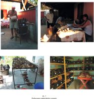 Cronica Cercetărilor Arheologice din România, Campania 2010. Raportul nr. 63