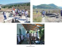 Cronica Cercetărilor Arheologice din România, Campania 2010. Raportul nr. 63