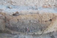 Cronica Cercetărilor Arheologice din România, Campania 2010. Raportul nr. 64