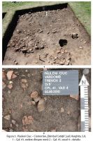 Cronica Cercetărilor Arheologice din România, Campania 2010. Raportul nr. 68.<br /> Sectorul album2.