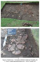 Cronica Cercetărilor Arheologice din România, Campania 2010. Raportul nr. 68.<br /> Sectorul album2.