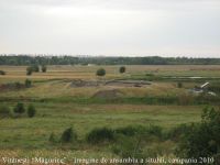 Cronica Cercetărilor Arheologice din România, Campania 2010. Raportul nr. 77