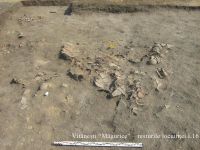 Cronica Cercetărilor Arheologice din România, Campania 2010. Raportul nr. 77