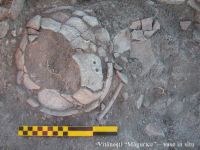 Cronica Cercetărilor Arheologice din România, Campania 2010. Raportul nr. 77