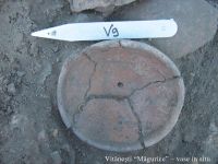 Cronica Cercetărilor Arheologice din România, Campania 2010. Raportul nr. 77