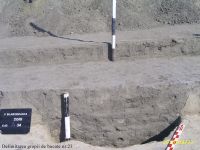 Cronica Cercetărilor Arheologice din România, Campania 2010. Raportul nr. 78