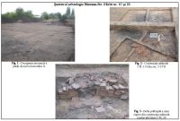 Cronica Cercetărilor Arheologice din România, Campania 2010. Raportul nr. 87