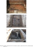 Cronica Cercetărilor Arheologice din România, Campania 2010. Raportul nr. 89