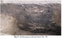 Cronica Cercetărilor Arheologice din România, Campania 2010. Raportul nr. 96