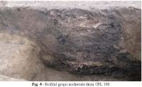 Cronica Cercetărilor Arheologice din România, Campania 2010. Raportul nr. 96