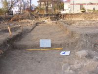 Cronica Cercetărilor Arheologice din România, Campania 2010. Raportul nr. 98
