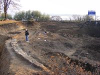 Cronica Cercetărilor Arheologice din România, Campania 2010. Raportul nr. 98