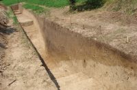 Cronica Cercetărilor Arheologice din România, Campania 2010. Raportul nr. 99