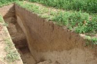 Cronica Cercetărilor Arheologice din România, Campania 2010. Raportul nr. 99