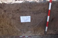 Cronica Cercetărilor Arheologice din România, Campania 2010. Raportul nr. 99
