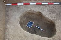 Cronica Cercetărilor Arheologice din România, Campania 2010. Raportul nr. 99