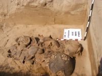Cronica Cercetărilor Arheologice din România, Campania 2010. Raportul nr. 100