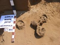 Cronica Cercetărilor Arheologice din România, Campania 2010. Raportul nr. 100