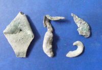 Cronica Cercetărilor Arheologice din România, Campania 2010. Raportul nr. 100