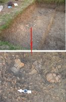Cronica Cercetărilor Arheologice din România, Campania 2010. Raportul nr. 102