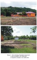 Cronica Cercetărilor Arheologice din România, Campania 2010. Raportul nr. 112