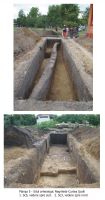 Cronica Cercetărilor Arheologice din România, Campania 2010. Raportul nr. 112