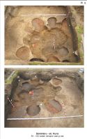 Cronica Cercetărilor Arheologice din România, Campania 2010. Raportul nr. 126