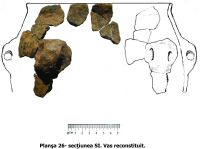 Cronica Cercetărilor Arheologice din România, Campania 2010. Raportul nr. 129