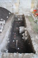 Cronica Cercetărilor Arheologice din România, Campania 2010. Raportul nr. 138