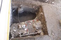 Cronica Cercetărilor Arheologice din România, Campania 2010. Raportul nr. 138