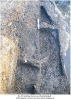 Cronica Cercetărilor Arheologice din România, Campania 2010. Raportul nr. 144