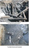 Cronica Cercetărilor Arheologice din România, Campania 2010. Raportul nr. 144