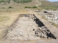 Cronica Cercetărilor Arheologice din România, Campania 2011. Raportul nr. 1.<br /> Sectorul SECTOR-A-strazi.