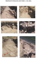 Cronica Cercetărilor Arheologice din România, Campania 2011. Raportul nr. 1.<br /> Sectorul SECTOR-C.