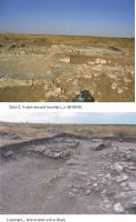 Cronica Cercetărilor Arheologice din România, Campania 2011. Raportul nr. 2