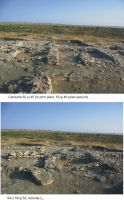 Cronica Cercetărilor Arheologice din România, Campania 2011. Raportul nr. 2