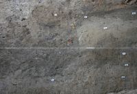 Cronica Cercetărilor Arheologice din România, Campania 2011. Raportul nr. 6