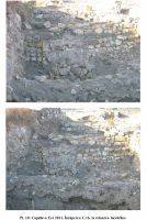Cronica Cercetărilor Arheologice din România, Campania 2011. Raportul nr. 7