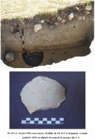 Cronica Cercetărilor Arheologice din România, Campania 2011. Raportul nr. 7