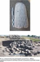 Cronica Cercetărilor Arheologice din România, Campania 2011. Raportul nr. 7