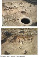 Cronica Cercetărilor Arheologice din România, Campania 2011. Raportul nr. 7