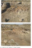Cronica Cercetărilor Arheologice din România, Campania 2011. Raportul nr. 7