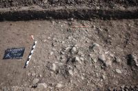 Cronica Cercetărilor Arheologice din România, Campania 2011. Raportul nr. 8