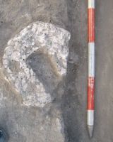 Cronica Cercetărilor Arheologice din România, Campania 2011. Raportul nr. 16