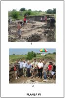 Cronica Cercetărilor Arheologice din România, Campania 2011. Raportul nr. 17