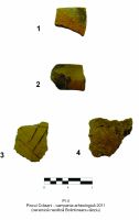 Cronica Cercetărilor Arheologice din România, Campania 2011. Raportul nr. 18